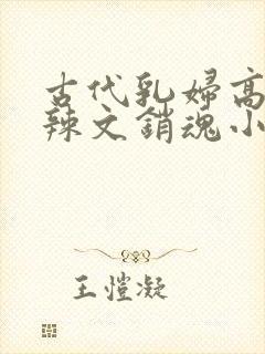 古代乳妇高h肉辣文销魂小妾