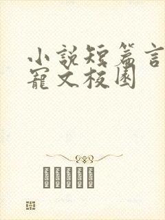 小说短篇言情甜宠文校园