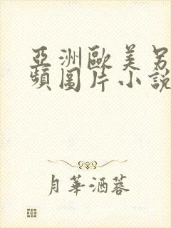 亚洲欧美另类视频图片小说