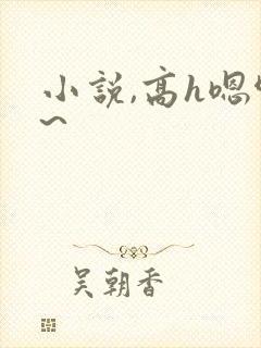小说,高h嗯啊~