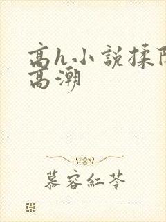 高h小说揉阴蒂高潮封面