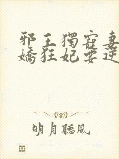 邪王独宠妻:傲娇狂妃要逆天封面