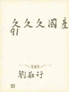 久久久国产精品91