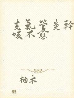 支气管炎干咳久咳不愈