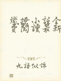 炽撩小说全文免费阅读最新章节封面