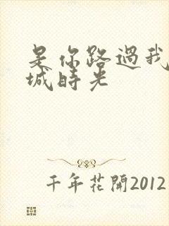 是你路过我的倾城时光