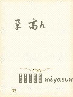 孕 高h