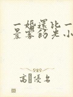 一婚还比一婚高晨雾的光小说