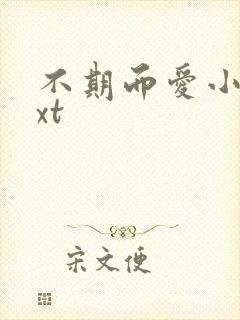 不期而爱小说txt封面