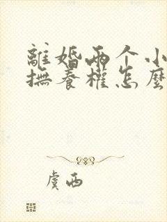 离婚两个小孩子抚养权怎么判定