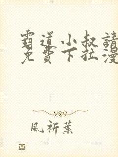 霸道小叔请轻撩免费下拉漫画