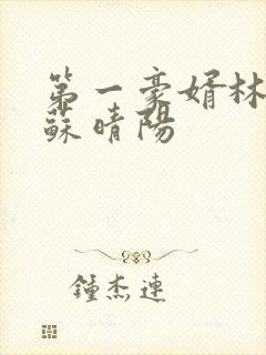 第一豪婿林阳许苏晴阳