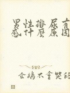 男性排尿有刺痛感什么原因