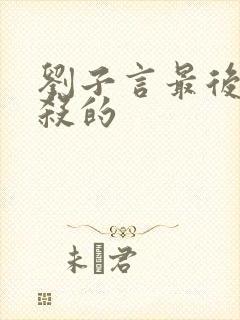 刘子言最后被谁杀的