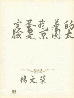 完蛋我养的小白脸是京圈太子爷阅读