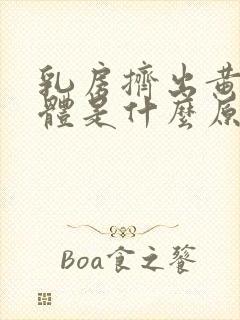 乳房挤出黄色液体是什么原因