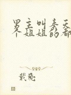 男主叫秦天有一个姐姐的都市小说