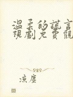 温柔的谎言 电视剧免费观看