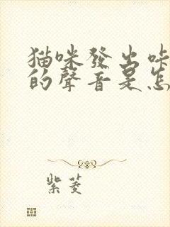 猫咪发出咔咔咔的声音是怎么回事