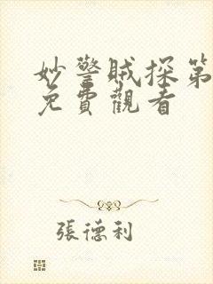 妙警贼探第二季免费观看