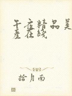 午夜精品美女国产在线