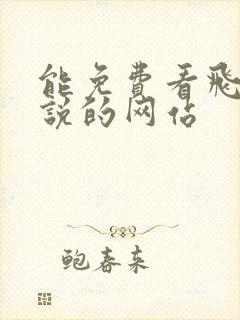 能免费看飞卢小说的网站