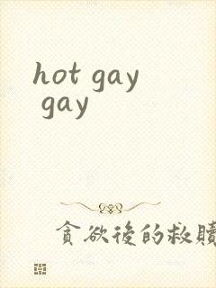 hot gay gay封面