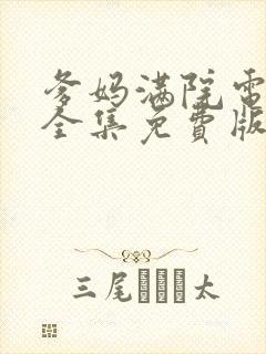 爹妈满院电视剧全集免费版封面