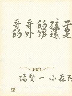 哥哥的孩子是我的外甥还是侄子