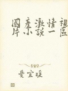 国产激情视频图片小说一区封面