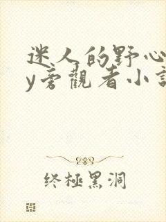 迷人的野心家by旁观者小说免费阅读txt