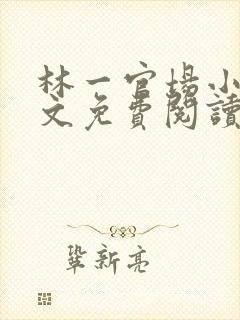 林一官场小说全文免费阅读