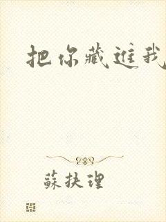 把你藏进我心里