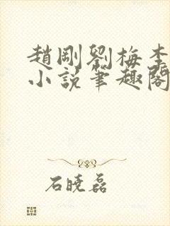 赵刚刘梅李晓雅小说笔趣阁