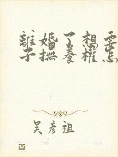 离婚了想要回孩子抚养权怎么办