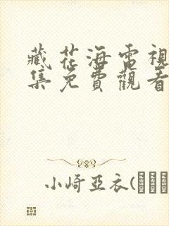 藏花海电视剧全集免费观看高清在线封面