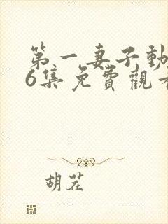 第一妻子动漫第6集免费观看全集