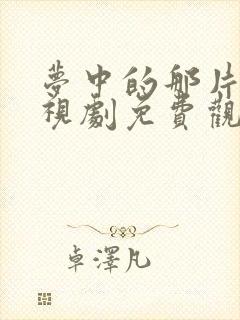 梦中的那片海电视剧免费观看高清