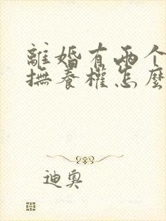 离婚有两个小孩抚养权怎么判定的