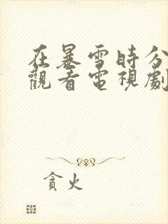 在暴雪时分免费观看电视剧