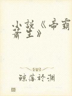 小说《帝霸厌笔萧生》