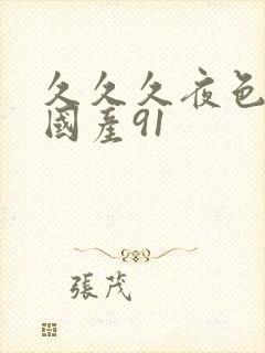 久久久夜色精品国产91