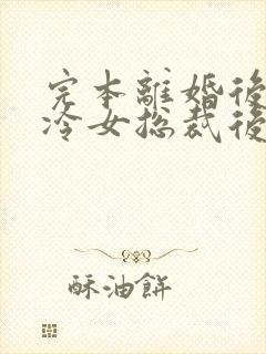 完本离婚后,高冷女总裁后悔封面