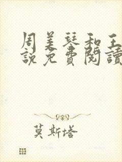 周美琴和王宇小说免费阅读