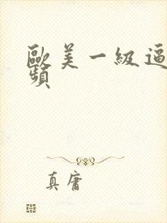 欧美一级逼逼视频