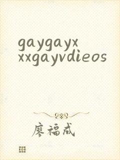 gaygayxxxgayvdieos封面