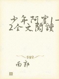 少年阿宾1—72全文阅读