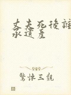 丈夫死后谁来继承遗产封面