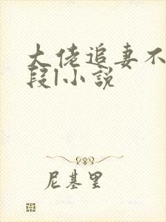 大佬追妻不择手段l小说