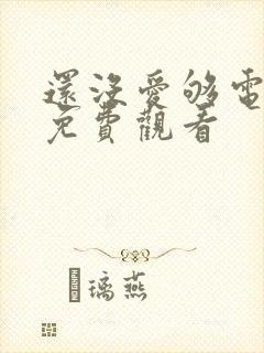 还没爱够电视剧免费观看